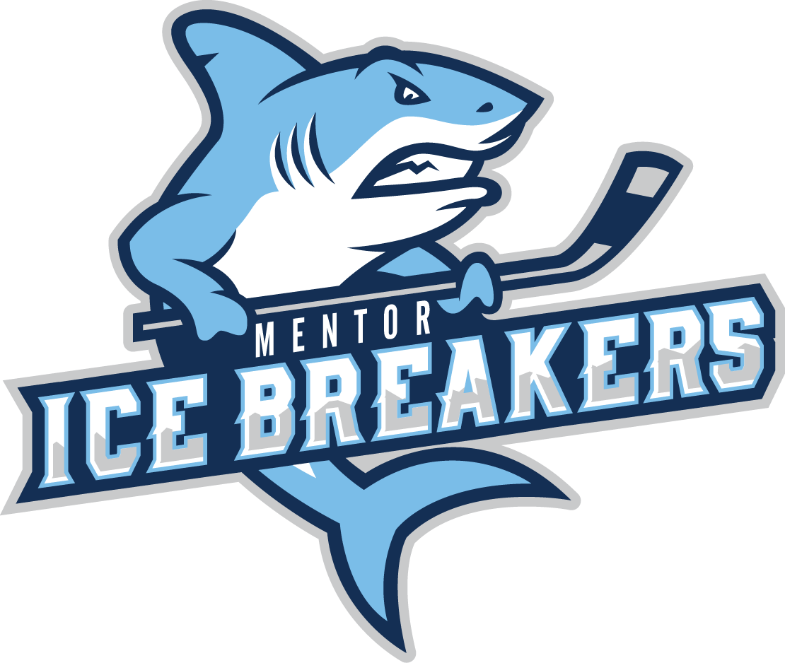 Mentor Ice Breakers 2018-Pres Primary Logo iron on heat transfer